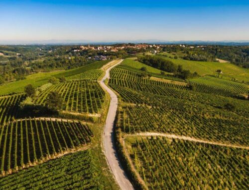 Hiking & Nature Walks